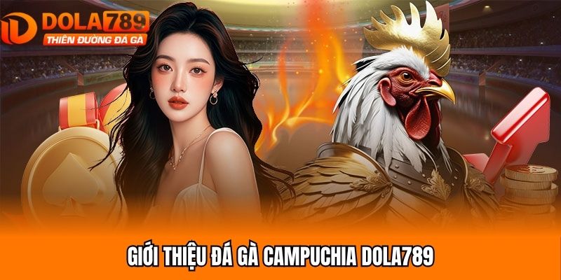 Giới thiệu vài nét chính về đá gà Campuchia tại Dola789