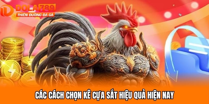 Các cách chọn kê cựa sắt hiệu quả hiện nay