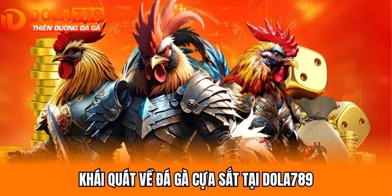 Khái quát về đá gà cựa sắt tại Dola789