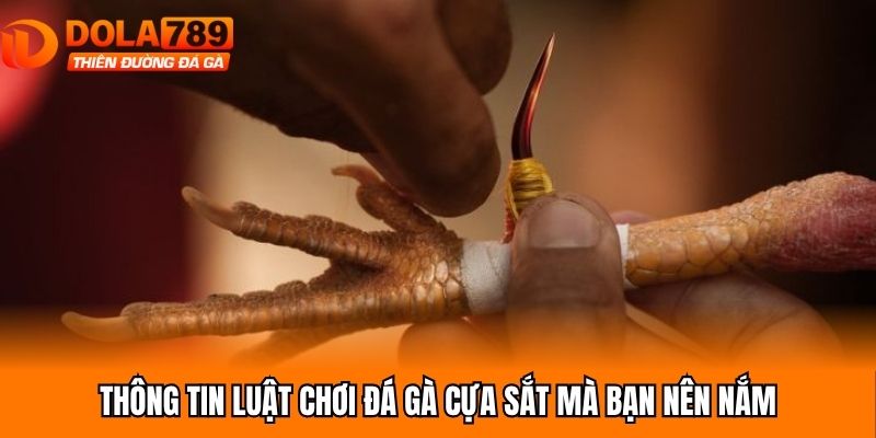 Thông tin luật chơi đá gà cựa sắt mà bạn nên nắm