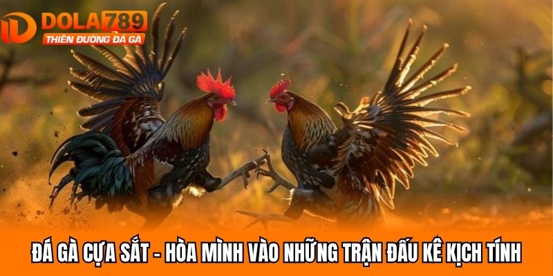 Đá Gà Cựa Sắt