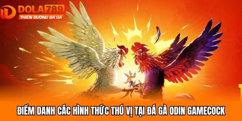 Điểm danh các hình thức thú vị tại đá gà Odin Gamecock
