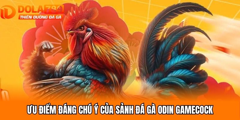 Ưu điểm đáng chú ý của sảnh đá gà Odin Gamecock