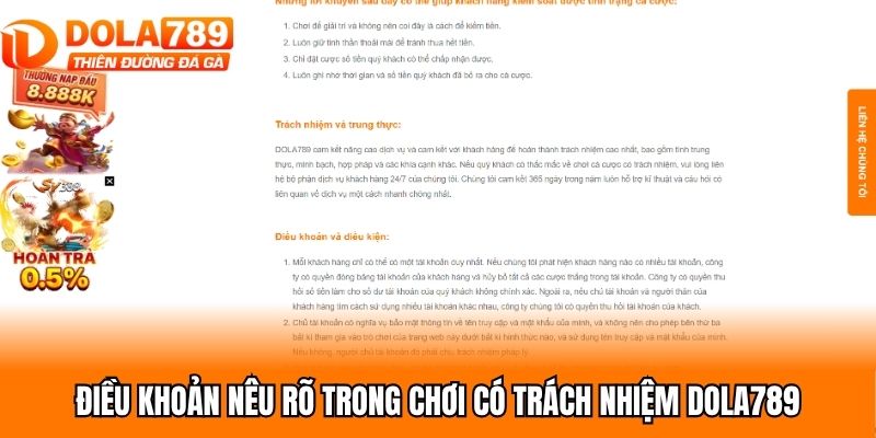 Điều khoản nêu rõ trong chơi có trách nhiệm Dola789