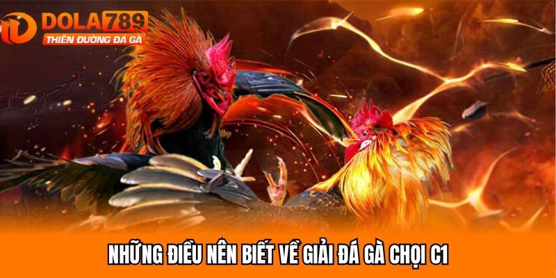 Những điều nên biết về giải đá gà chọi C1