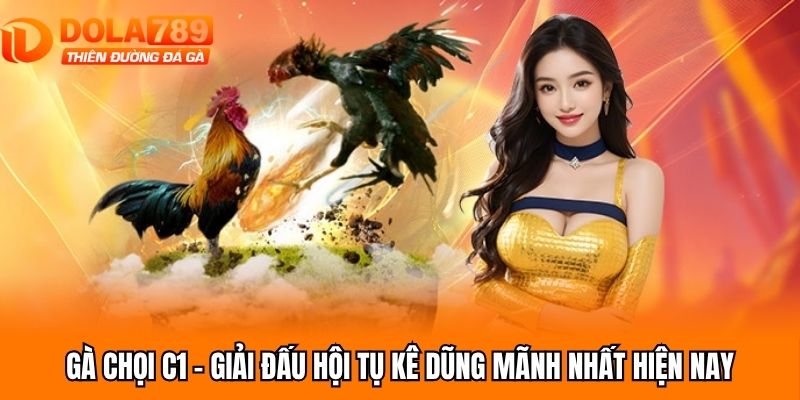 Gà chọi C1