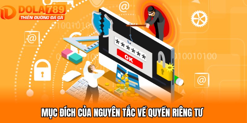 Mục đích của nguyên tắc về quyền riêng tư