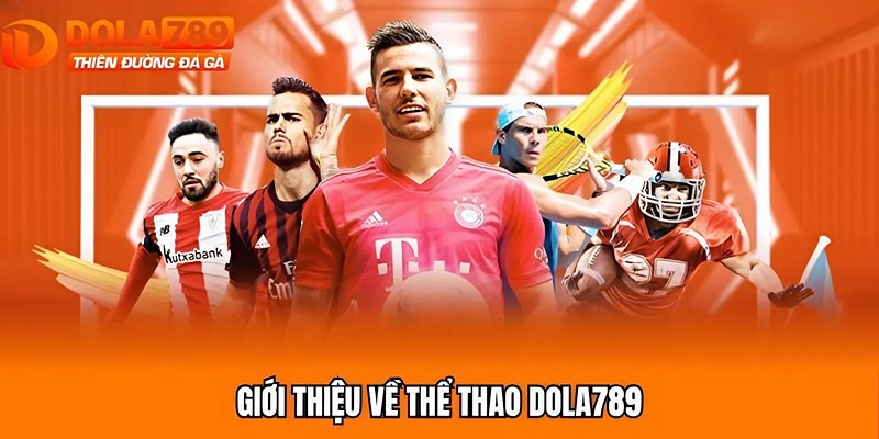 Giới thiệu về thể thao Dola789