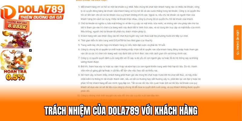 Trách nhiệm của Dola789 với khách hàng